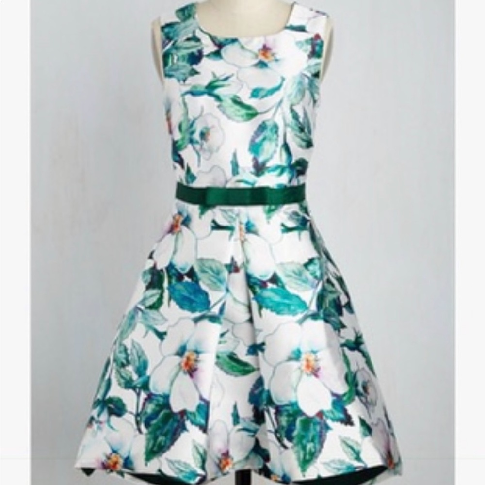 NWT - Vintage Inspired Floral dress